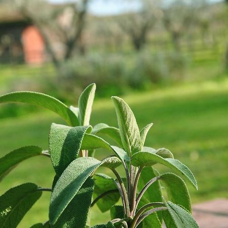 Agriturismo La Mandragola Relais クロトーネ エクステリア 写真