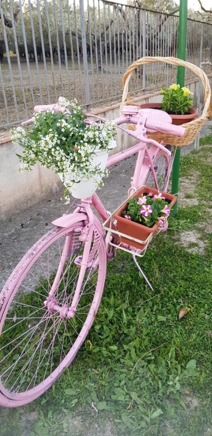 Agriturismo La Mandragola Relais クロトーネ エクステリア 写真