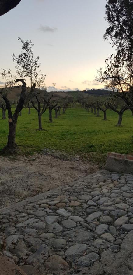 Agriturismo La Mandragola Relais クロトーネ エクステリア 写真