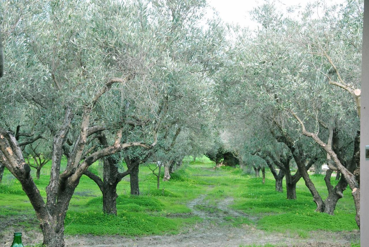 Agriturismo La Mandragola Relais クロトーネ エクステリア 写真
